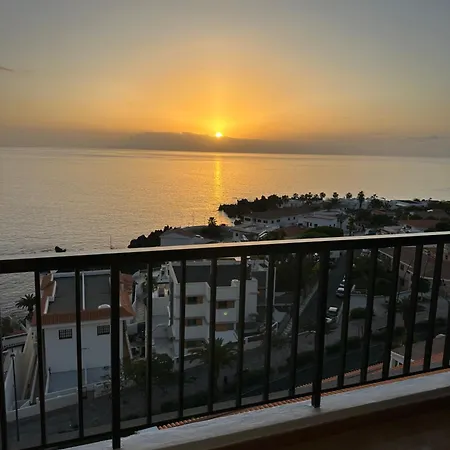 Dorado Atardecer *