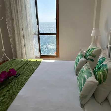 Dorado Atardecer * 푸에르토 데 산티아고