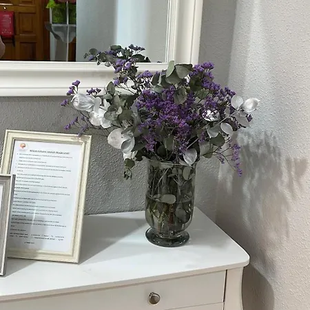 Dorado Atardecer 公寓 圣地亚哥港